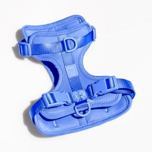 Wild One harness blue XS
